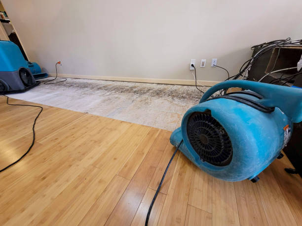 Professional Water Damage Repair technician working in Knoxville, IL